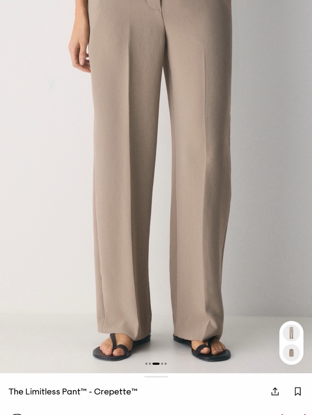 Aritzia Crepette Wide-Leg Trousers in Taupe